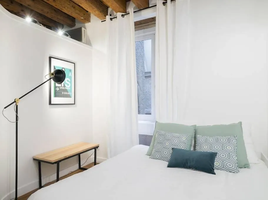 Large&beautiful appartement in the hyper-centre Lyon 0*,